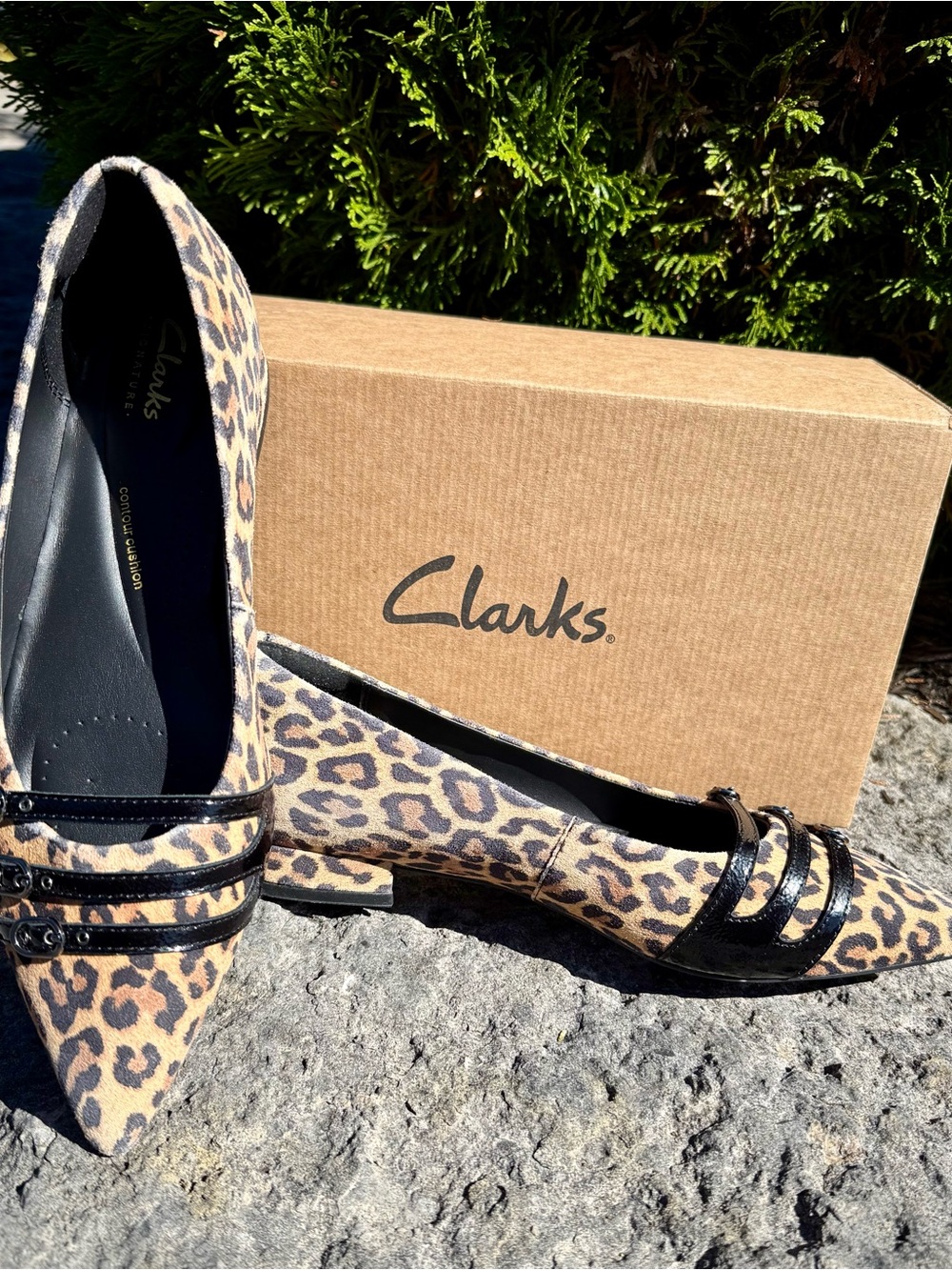 Clarks Leopard Print Pointed Toe Flats with Black Trim